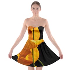 Yellow Poppies Strapless Bra Top Dress