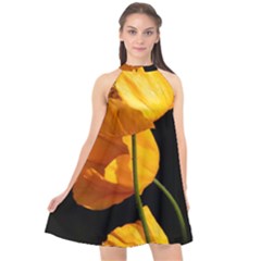 Yellow Poppies Halter Neckline Chiffon Dress  by Audy