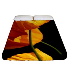 Yellow Poppies Fitted Sheet (king Size) by Audy