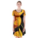 Yellow Poppies Short Sleeve V-neck Flare Dress View1