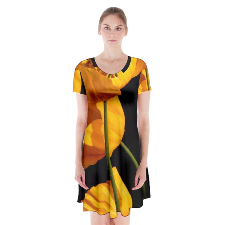 Yellow Poppies Short Sleeve V-neck Flare Dress