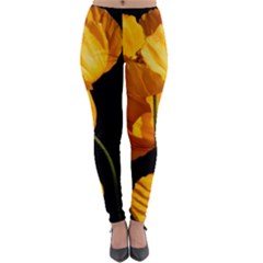 Yellow Poppies Lightweight Velour Leggings by Audy