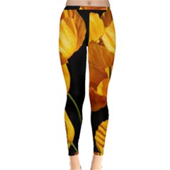 Yellow Poppies Inside Out Leggings by Audy