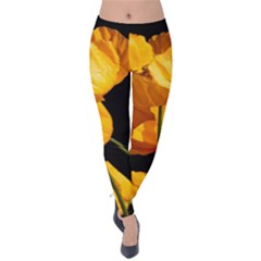 Yellow Poppies Velvet Leggings by Audy