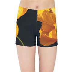 Yellow Poppies Kids  Sports Shorts by Audy