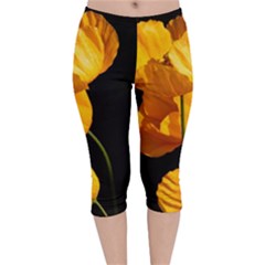 Yellow Poppies Velvet Capri Leggings  by Audy