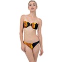 Yellow Poppies Classic Bandeau Bikini Set View1