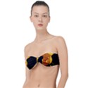 Yellow Poppies Classic Bandeau Bikini Top  View1