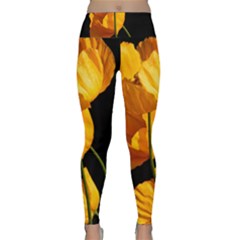 Yellow Poppies Lightweight Velour Classic Yoga Leggings by Audy