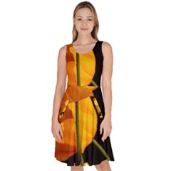 Yellow Poppies Knee Length Skater Dress With Pockets by Audy