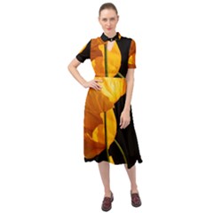 Yellow Poppies Keyhole Neckline Chiffon Dress