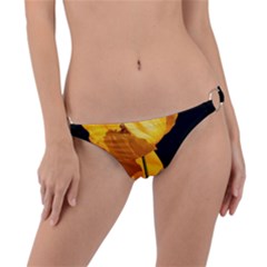 Yellow Poppies Ring Detail Bikini Bottom by Audy