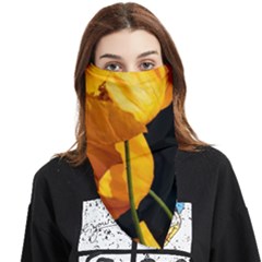 Yellow Poppies Face Covering Bandana (triangle)