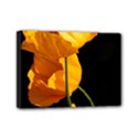 Yellow Poppies Mini Canvas 7  x 5  (Stretched) View1