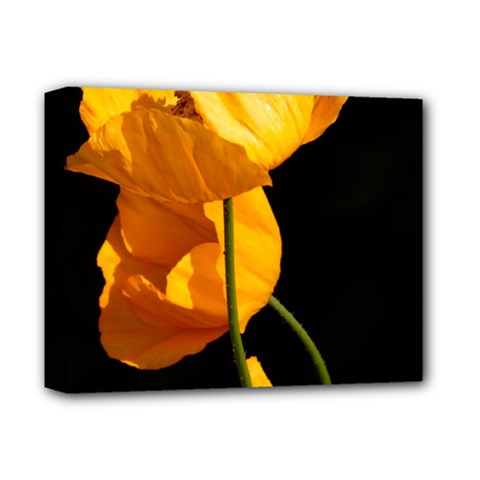 Yellow Poppies Deluxe Canvas 14  X 11  (stretched) by Audy