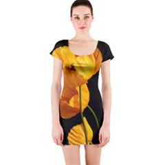 Yellow Poppies Short Sleeve Bodycon Dress by Audy