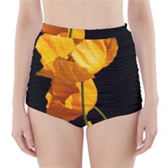 Yellow Poppies High-waisted Bikini Bottoms