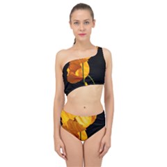 Yellow Poppies Spliced Up Two Piece Swimsuit by Audy