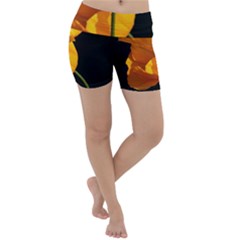 Yellow Poppies Lightweight Velour Yoga Shorts by Audy