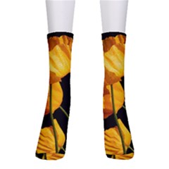 Yellow Poppies Men s Crew Socks by Audy