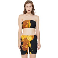 Yellow Poppies Stretch Shorts And Tube Top Set