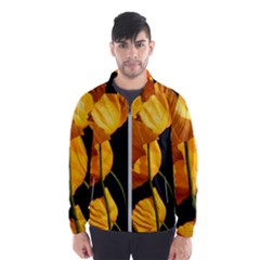 Yellow Poppies Men s Windbreaker