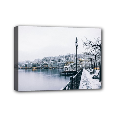 Winter Season Mini Canvas 7  X 5  (stretched) by Audy