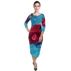 Red Roses In Water Quarter Sleeve Midi Velour Bodycon Dress by Audy