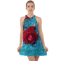 Red Roses In Water Halter Tie Back Chiffon Dress by Audy