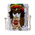  Rainbow Stoner Owl Drawstring Bag (Small) View1