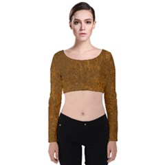 Gc (65) Velvet Long Sleeve Crop Top by GiancarloCesari