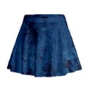 Gc (38) Mini Flare Skirt View1