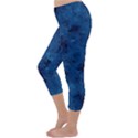 Gc (28) Capri Winter Leggings  View2