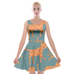 Vector Seamless Pattern With Cute Orange And  Cheetahs On The Blue Background  Tropical Animals Velvet Skater Dress by EvgeniiaBychkova