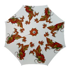 Dragon Art Glass Metalizer China Golf Umbrellas