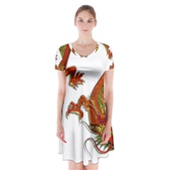 Dragon Art Glass Metalizer China Short Sleeve V-neck Flare Dress