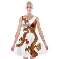 Dragon Art Glass Metalizer China Velvet Skater Dress