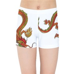 Dragon Art Glass Metalizer China Kids  Sports Shorts by HermanTelo