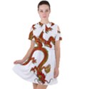 Dragon Art Glass Metalizer China Short Sleeve Shoulder Cut Out Dress  View1