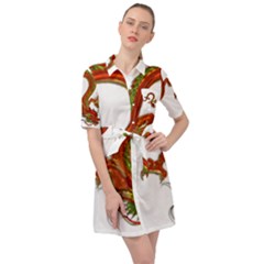 Dragon Art Glass Metalizer China Belted Shirt Dress