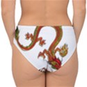 Dragon Art Glass Metalizer China Double Strap Halter Bikini Bottom View2