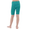 Green Denim Kids  Mid Length Swim Shorts View2