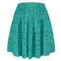 Green Denim High Waist Skirt View2