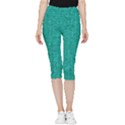 Green Denim Inside Out Lightweight Velour Capri Leggings  View1