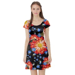 Orange And Blue Chamomiles Design Short Sleeve Skater Dress by ArtsyWishy