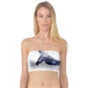 Blue whale dream Bandeau Top View1