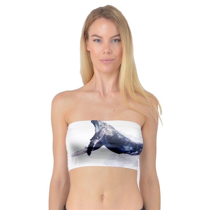 Blue whale dream Bandeau Top