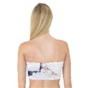 Blue whale dream Bandeau Top View2