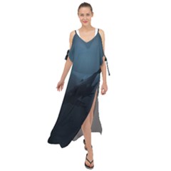 Blue Whale Family Maxi Chiffon Cover Up Dress by goljakoff