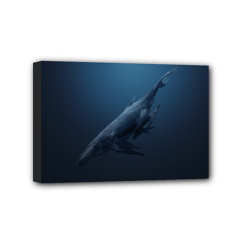 Whales Family Mini Canvas 6  X 4  (stretched) by goljakoff